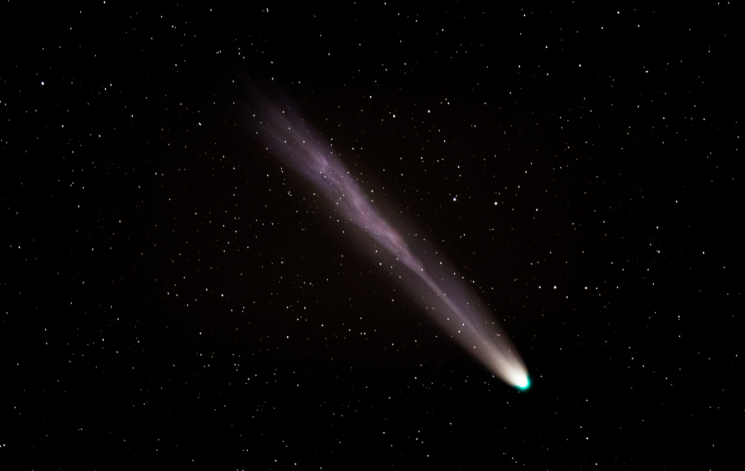 cometa-2-1-scaled.jpg